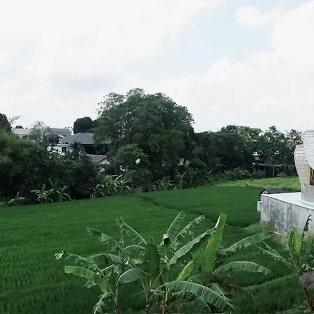 Lulu Guest House Padang Linjong