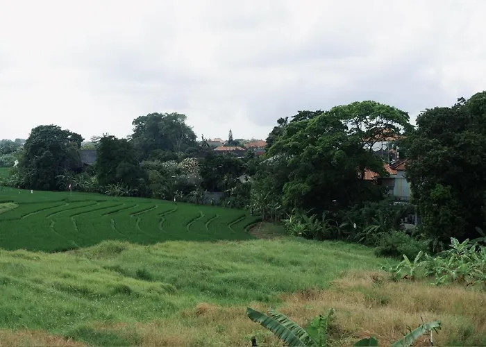 Lulu Padang Linjong Affittacamere